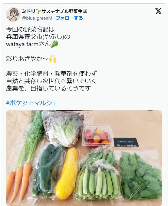 実際のツイートのスクリーンショット。「今回の野菜宅配は兵庫県養父市(やぶし)のwataya farmさん。彩りあざやか～。農薬・化学肥料・除草剤を使わず、自然と共存し次世代へ繋いでいく農業を、目指しているそうです。」という文章と野菜セットの画像。